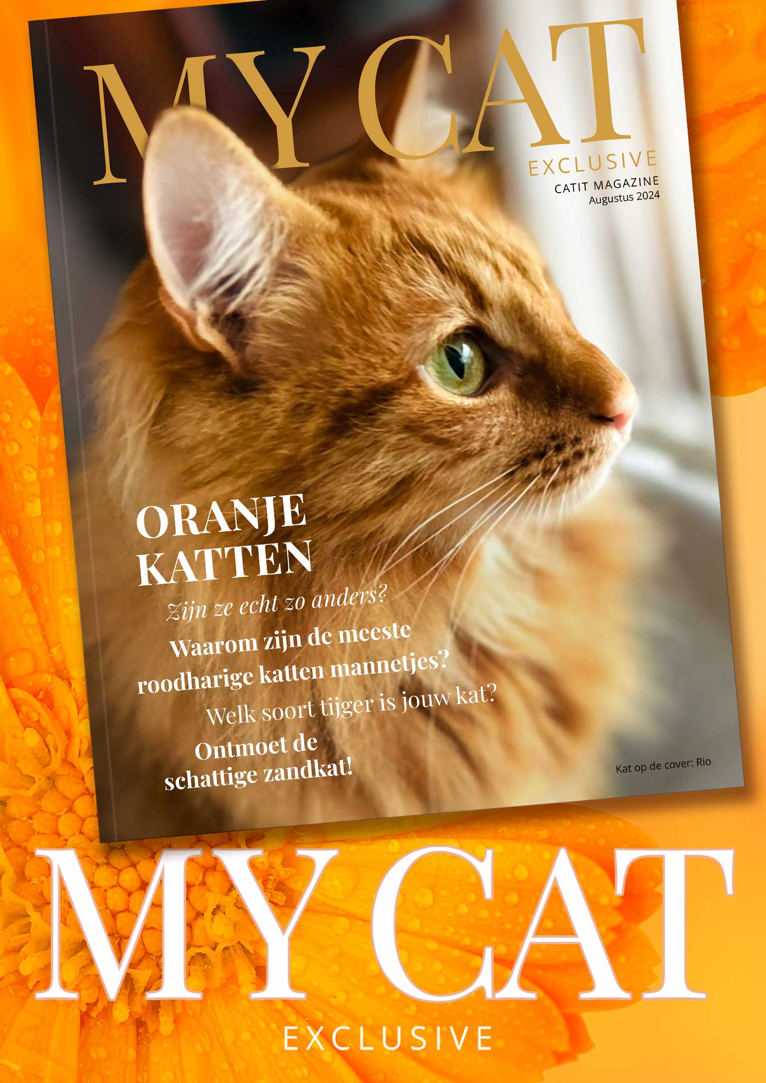 My Cat Exclusive – Augustus 2024