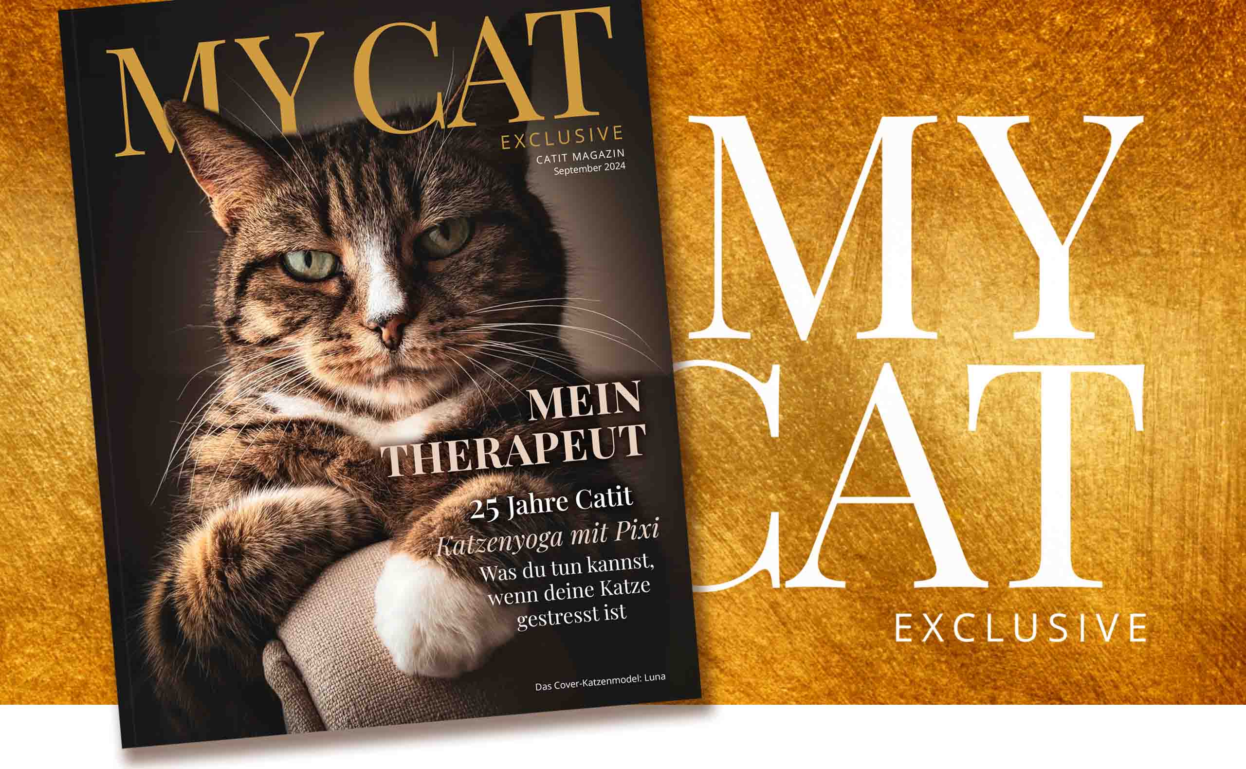 Catit e-magazin / September 2024