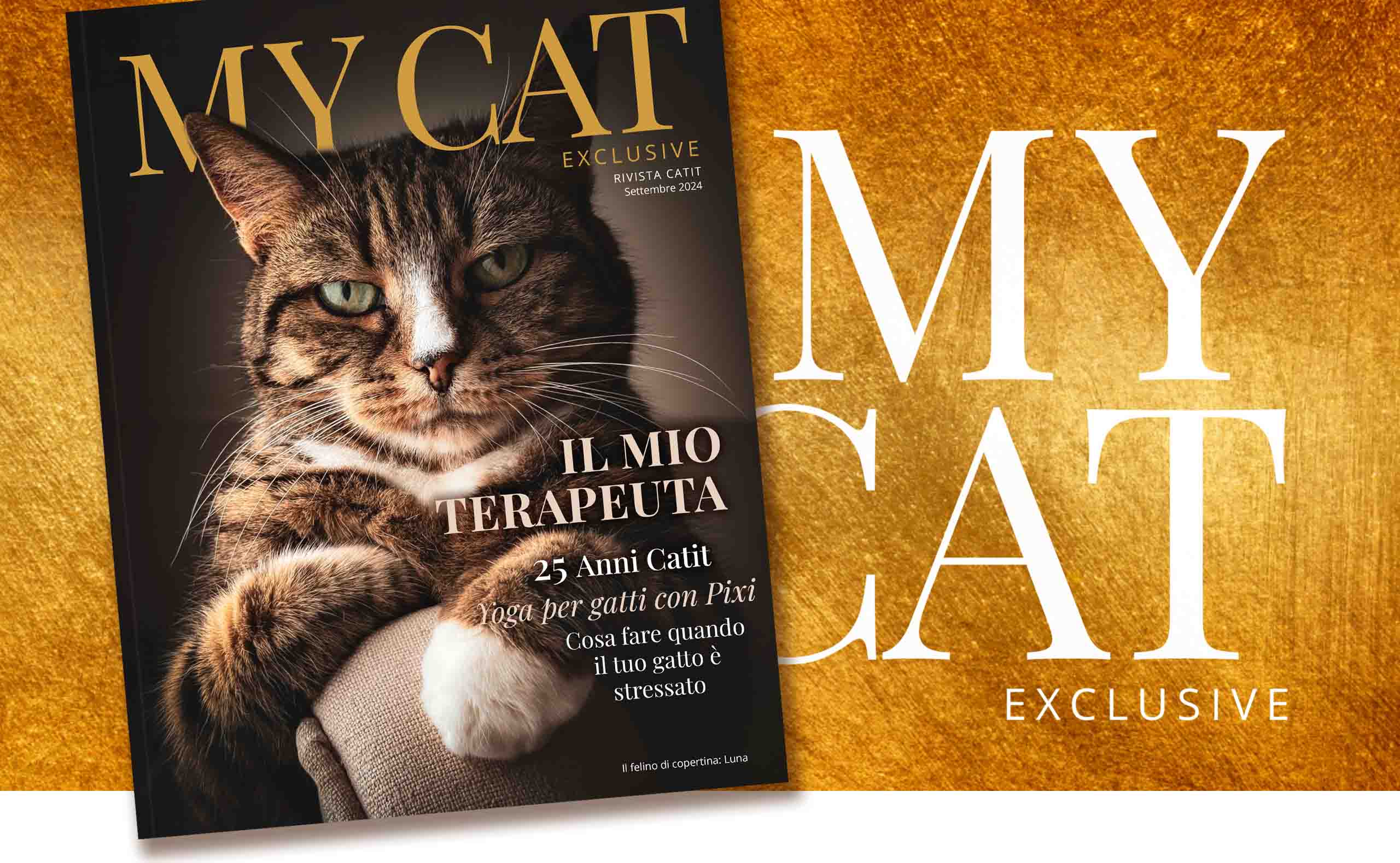 RIVISTA MY CAT / Settembre 2024