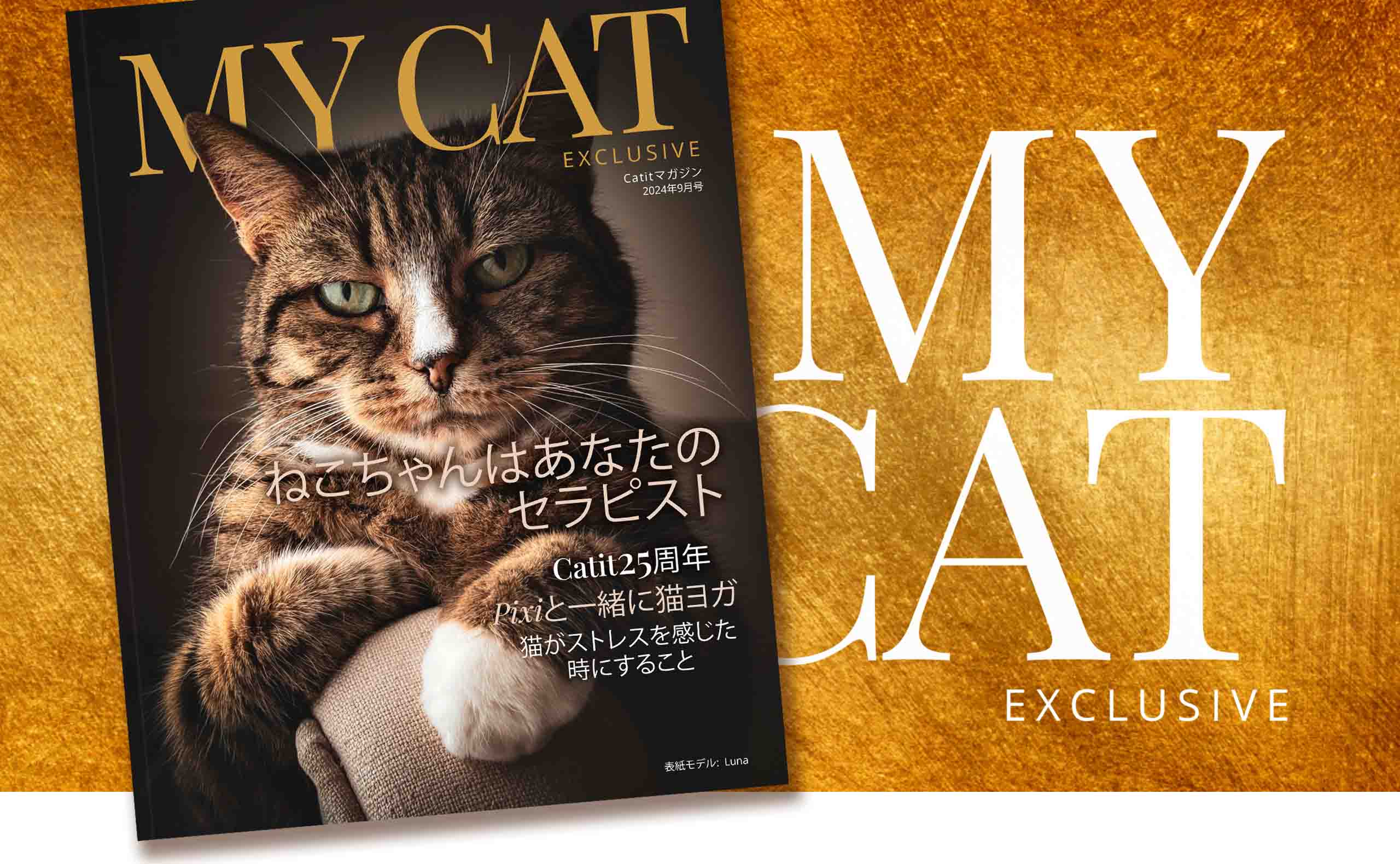 CATIT WEBマガジン / 2024年9月号