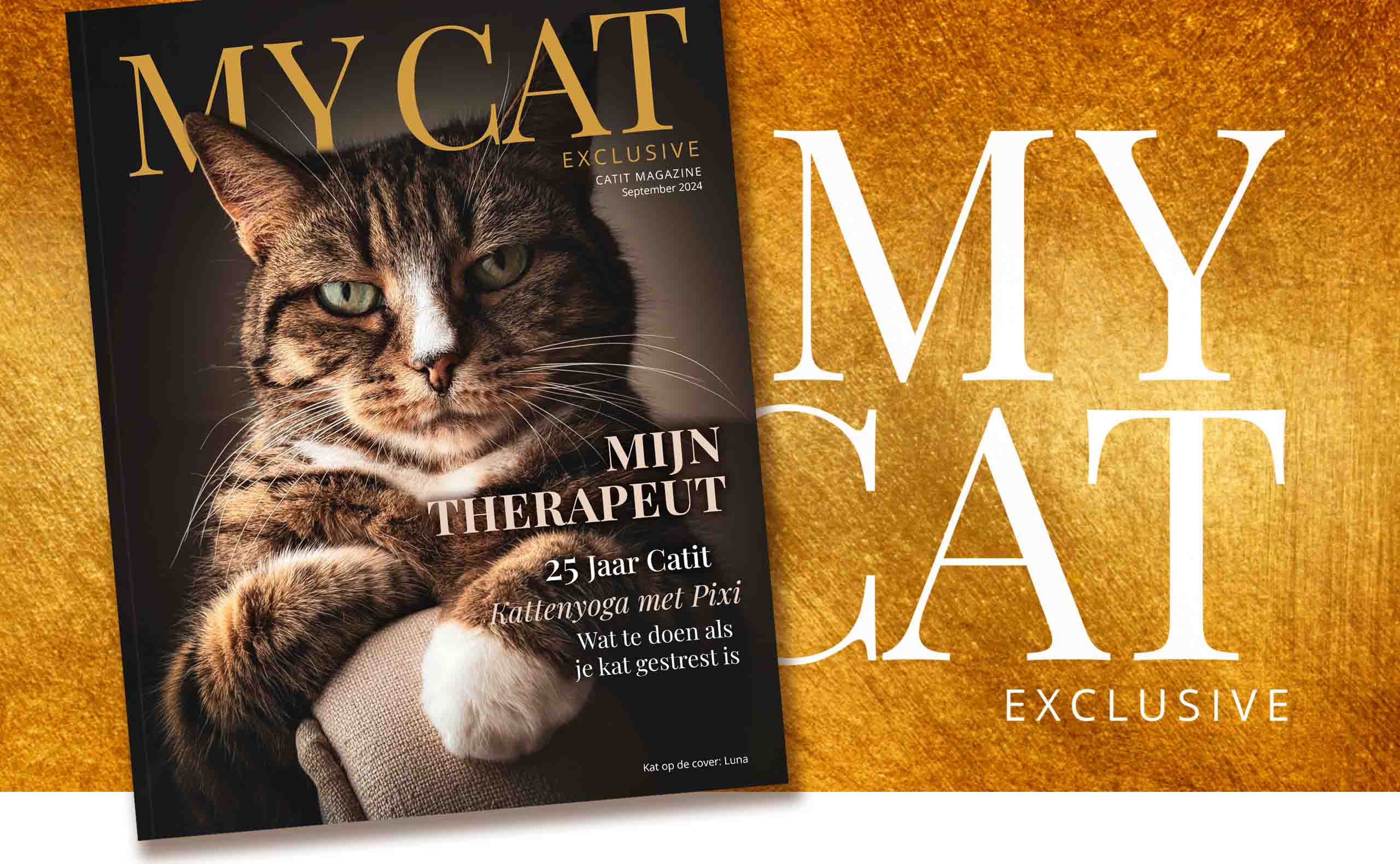 Catit e-magazine / September 2024