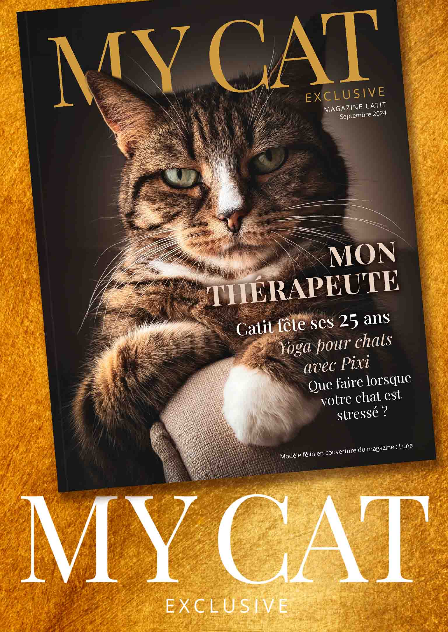 e-magazine Catit / Septembre 2024