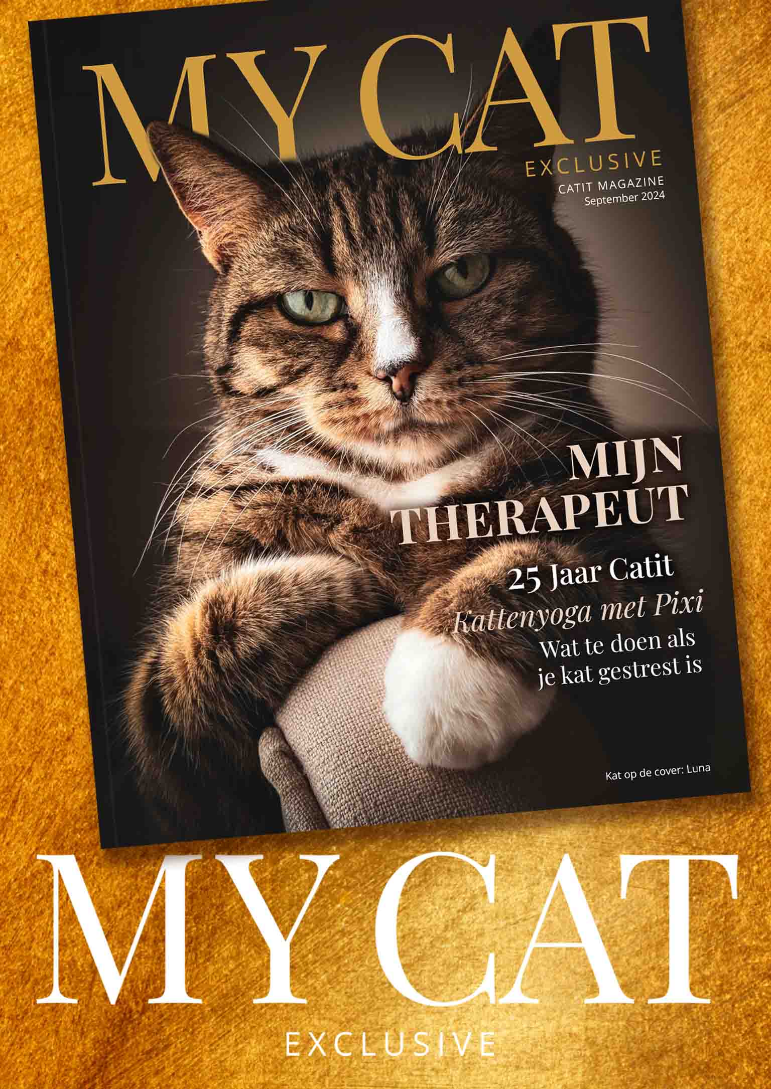 Catit e-magazine / September 2024