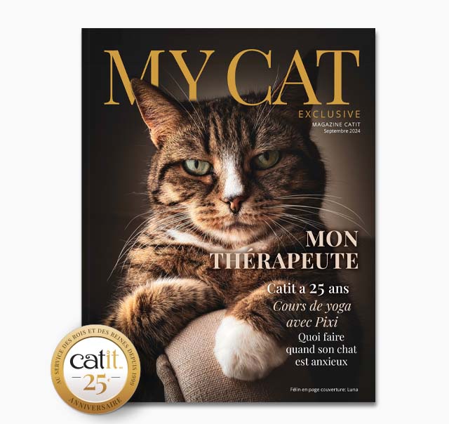 My Cat Exclusive Septembre 2024