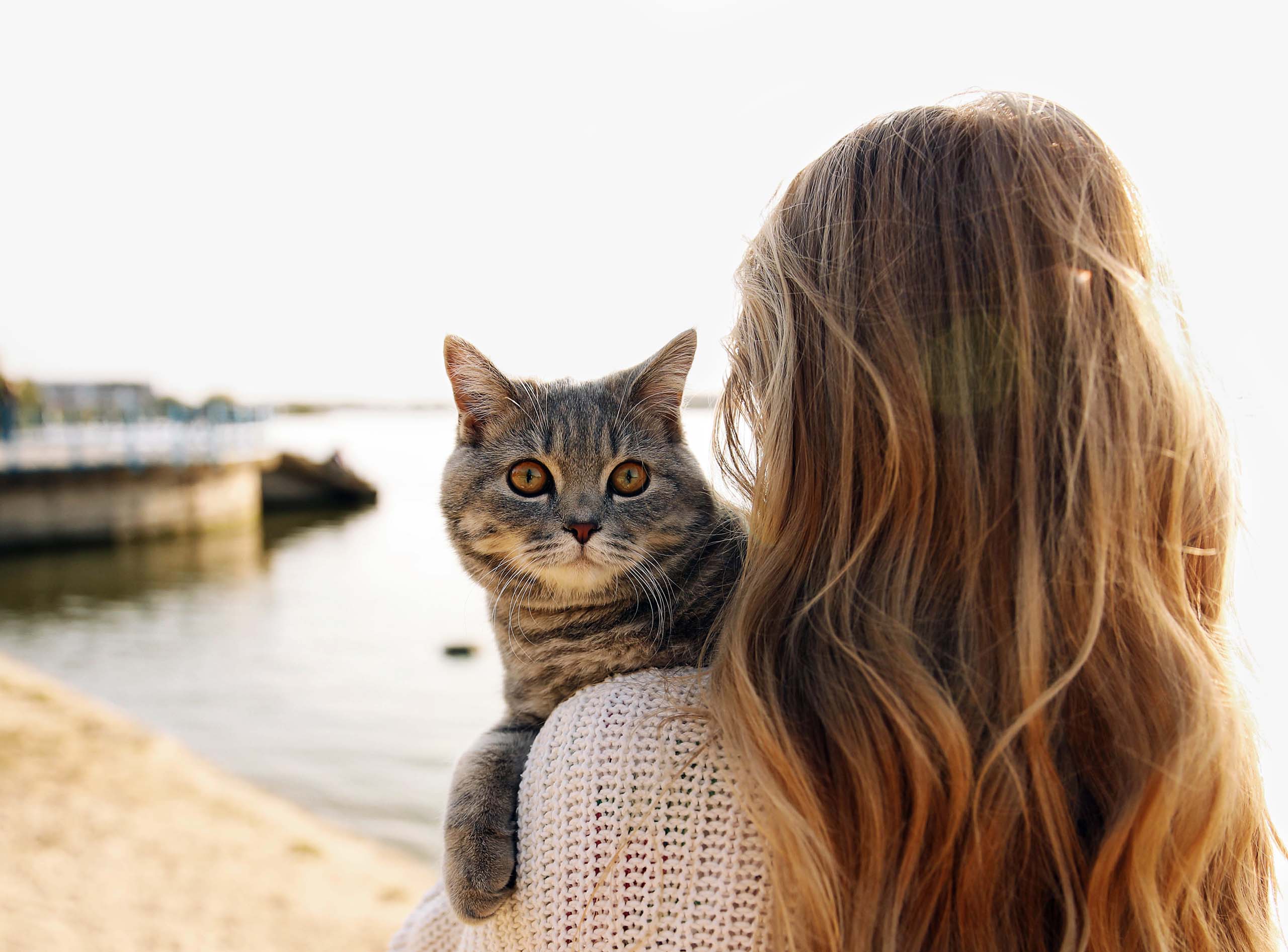 I gatti di questi lettori li hanno aiutati a superare momenti difficili