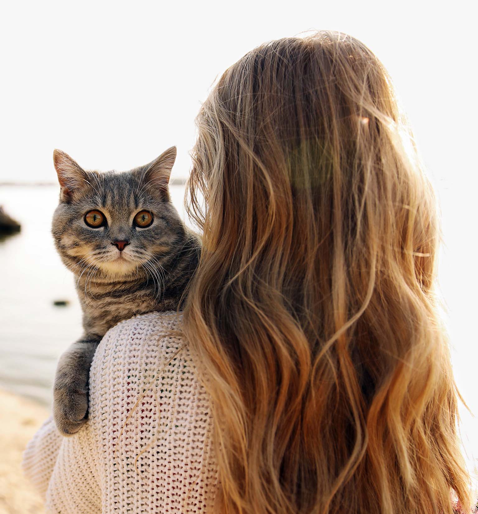 I gatti di questi lettori li hanno aiutati a superare momenti difficili