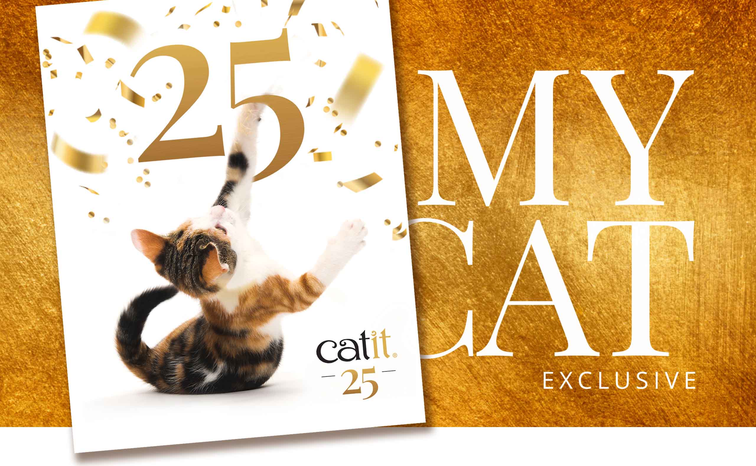 Rivista Catit / edizione speciale