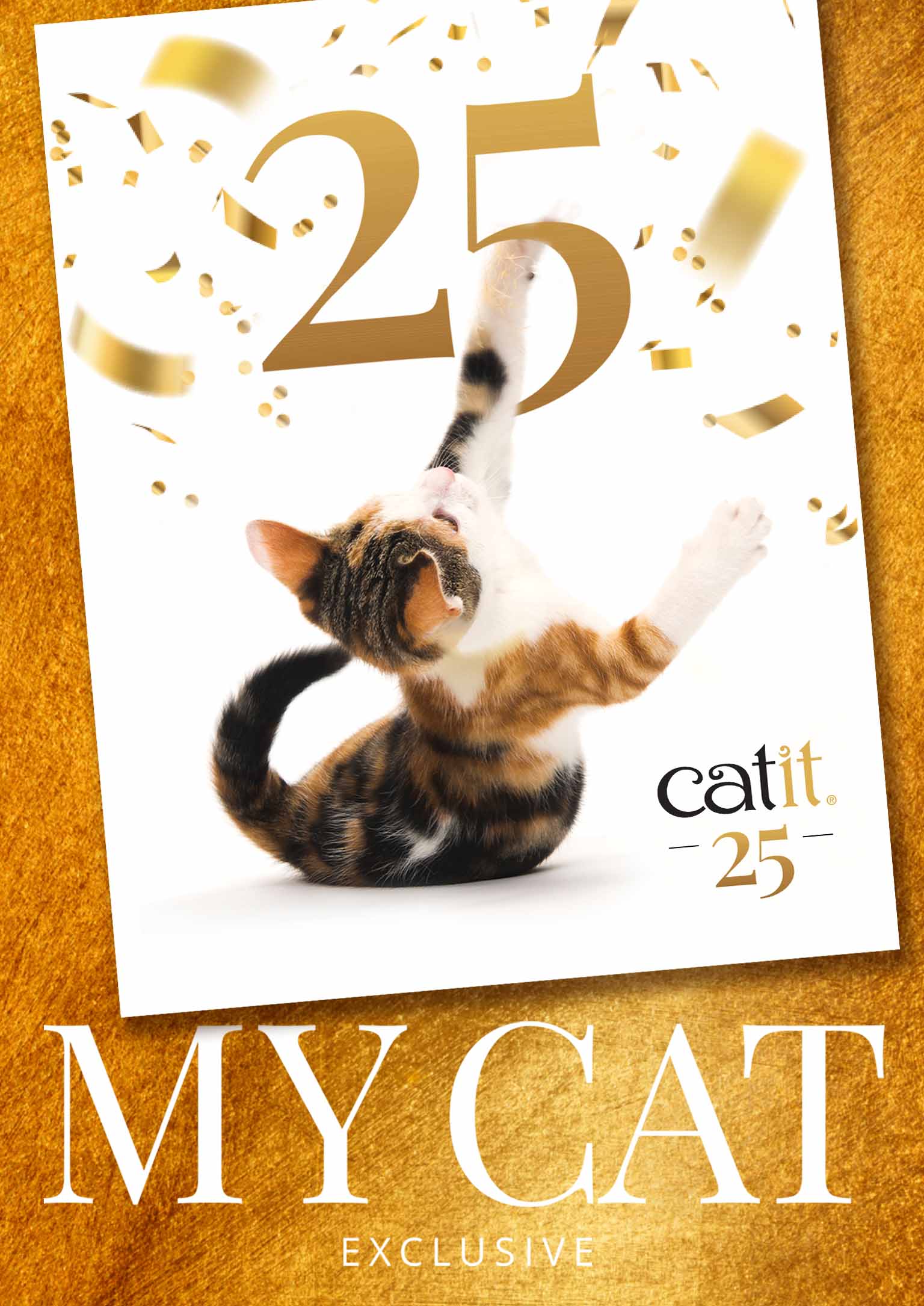 Catit e-magazine / Sonderausgabe