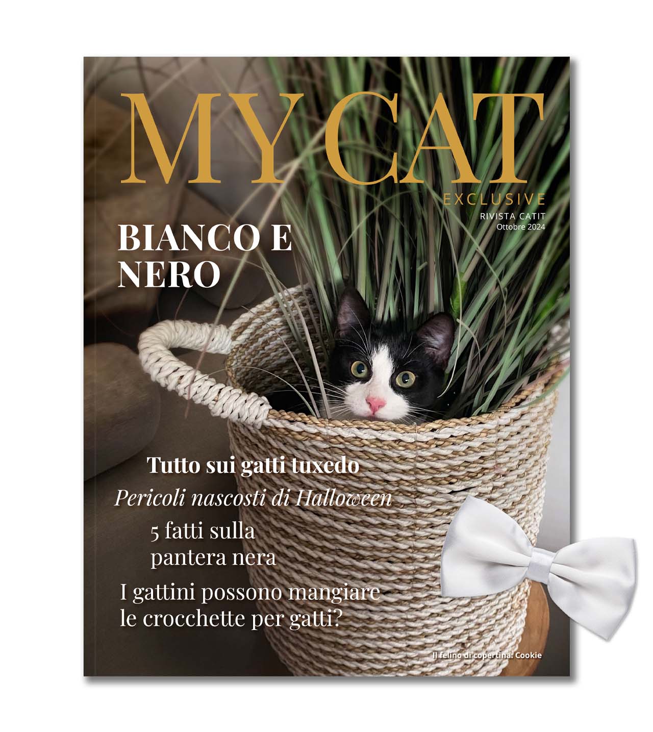 My Cat Exclusive - Ottobre 2024