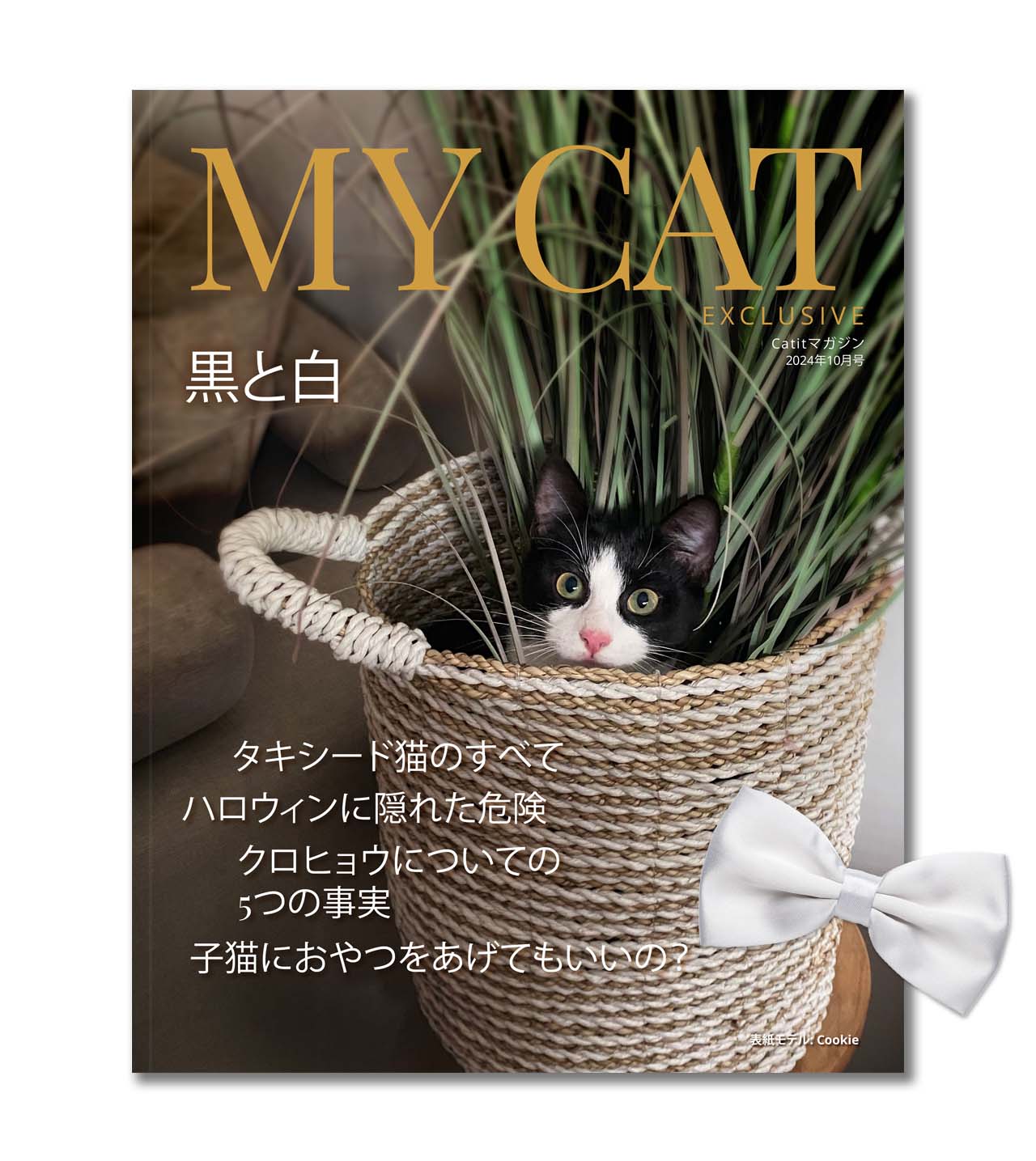 My Cat Exclusive 2024年10月号