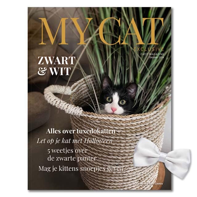 My Cat Exclusive Oktober 2024