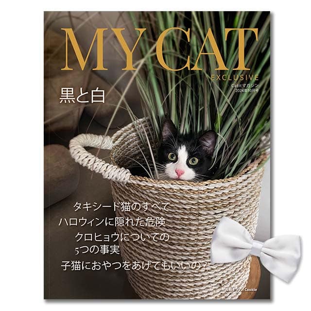 My Cat Exclusive 2024年10月号