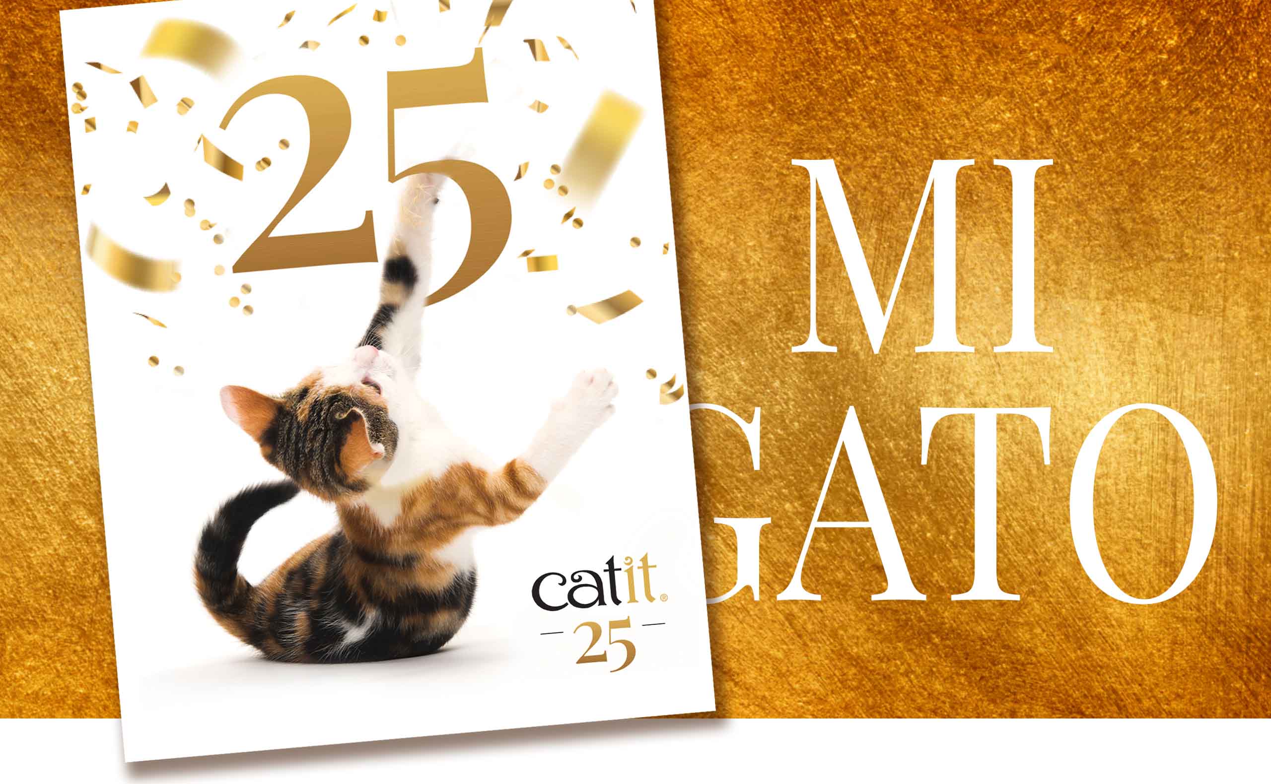 Revista Catit / Edición especial