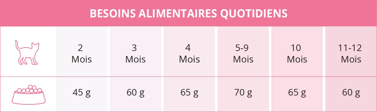 Besoins alimentaires quotidiens