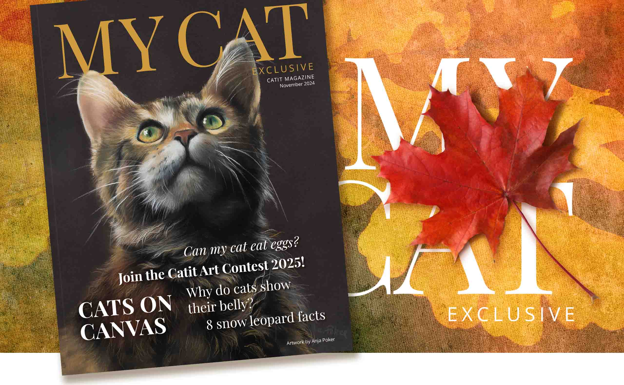 Catit e-magazine - November 2024