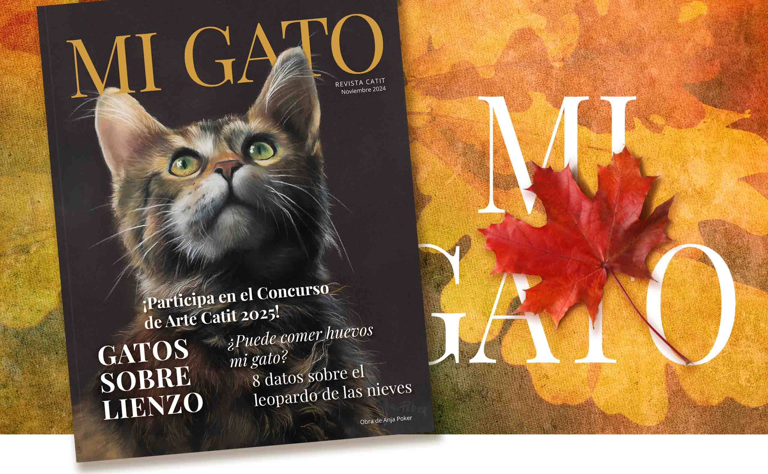 Catit e-magazine - Noviembre 2024