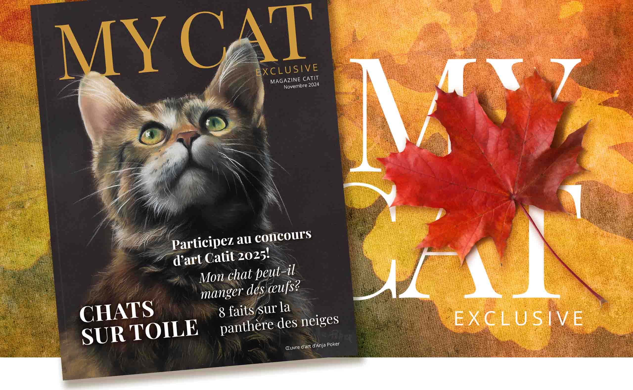 Catit e-magazine - Octobre 2024