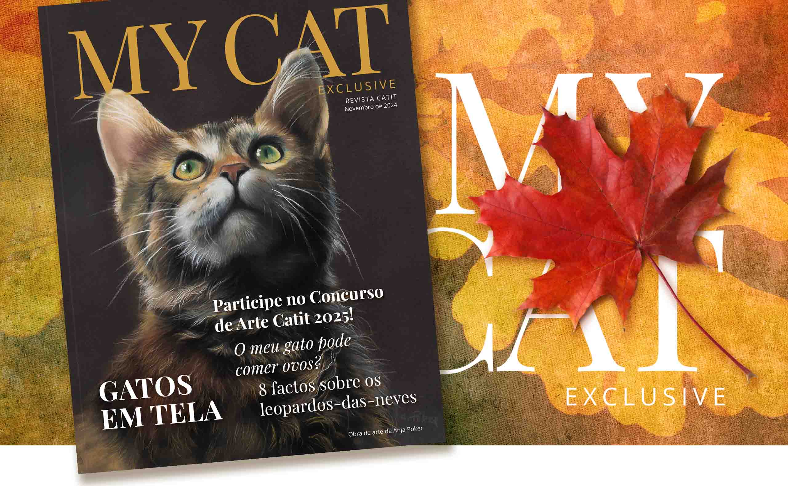 Catit e-magazine - Novembro 2024