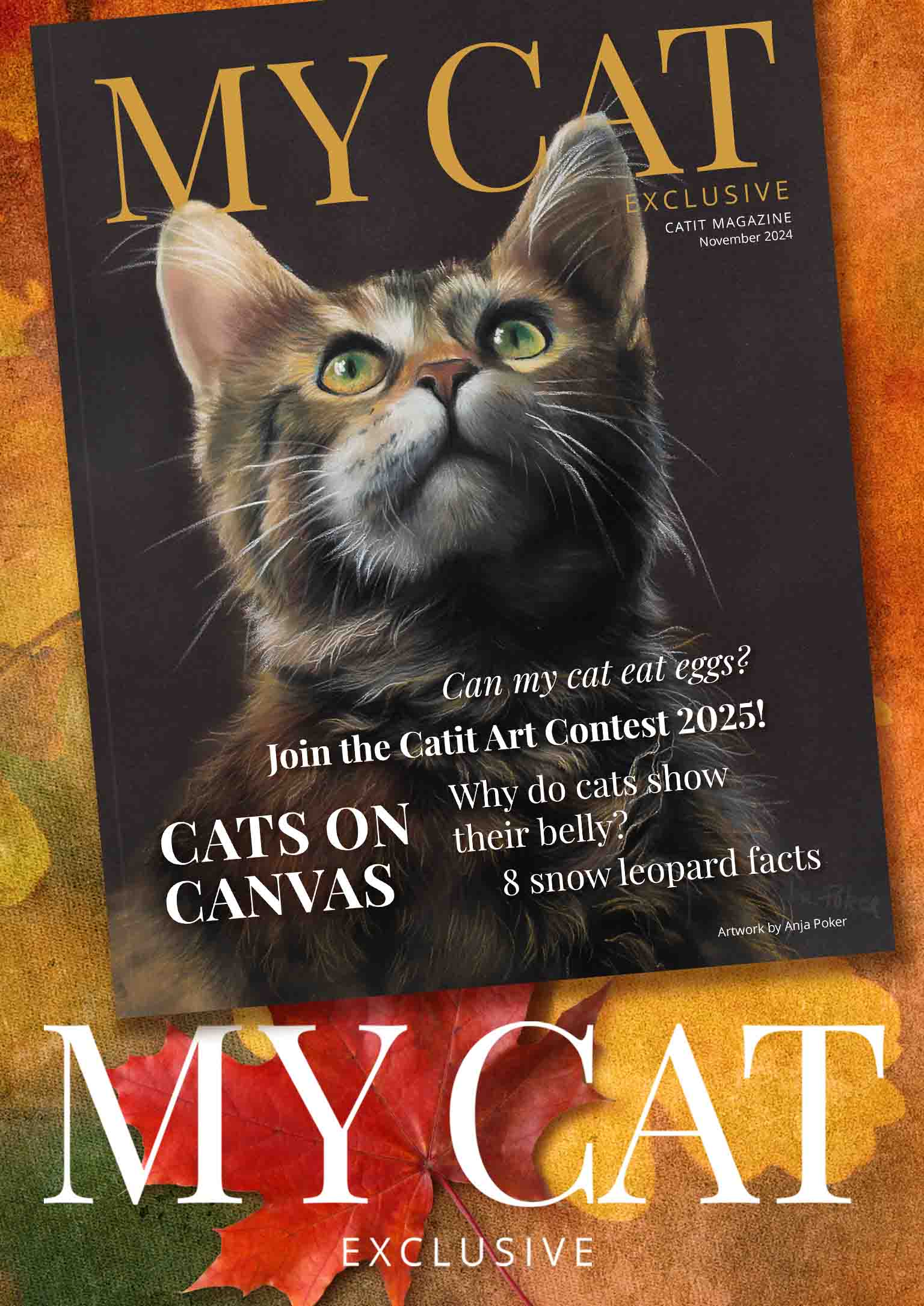 Catit e-magazine - November 2024