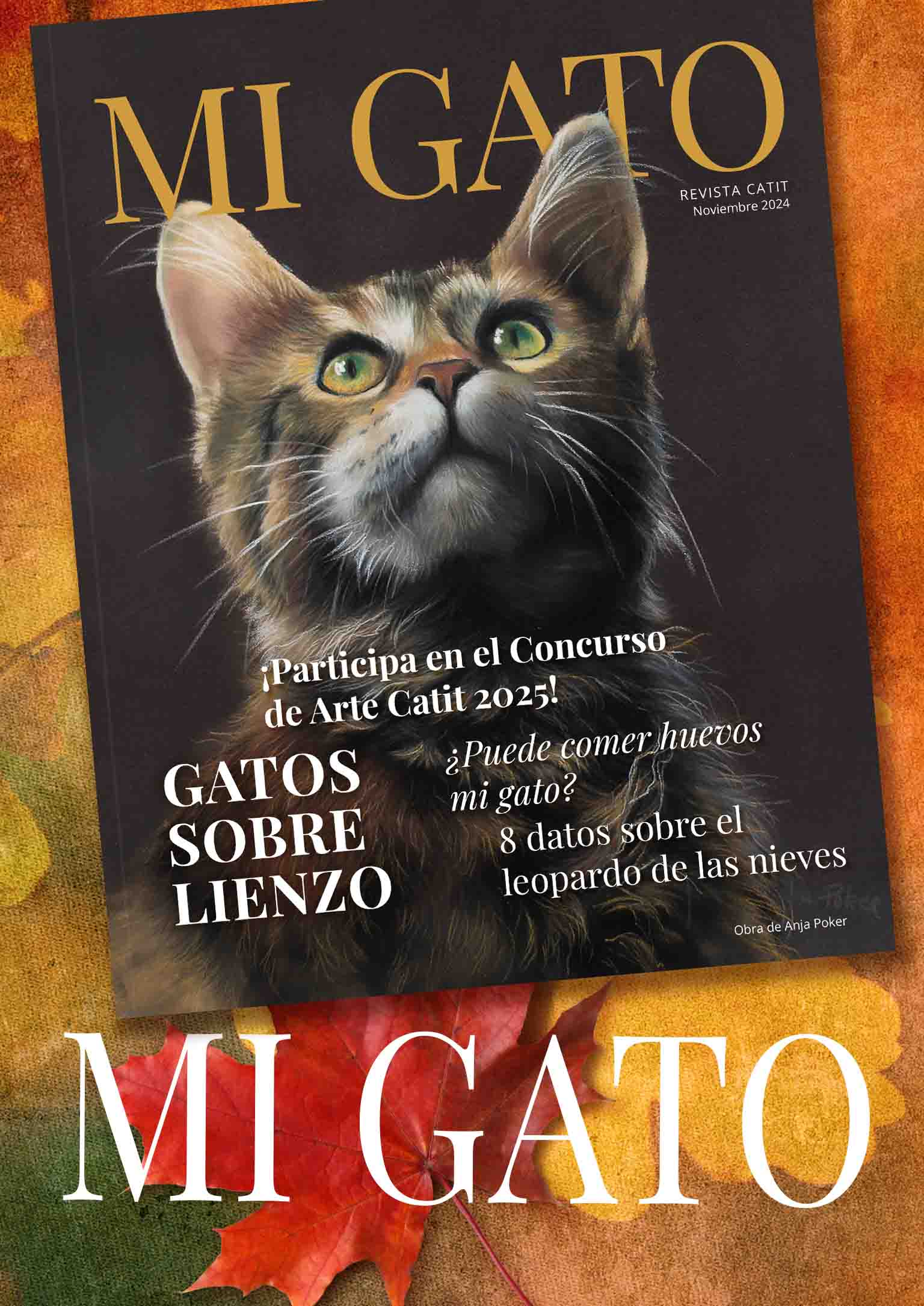 Catit e-magazine - Noviembre 2024