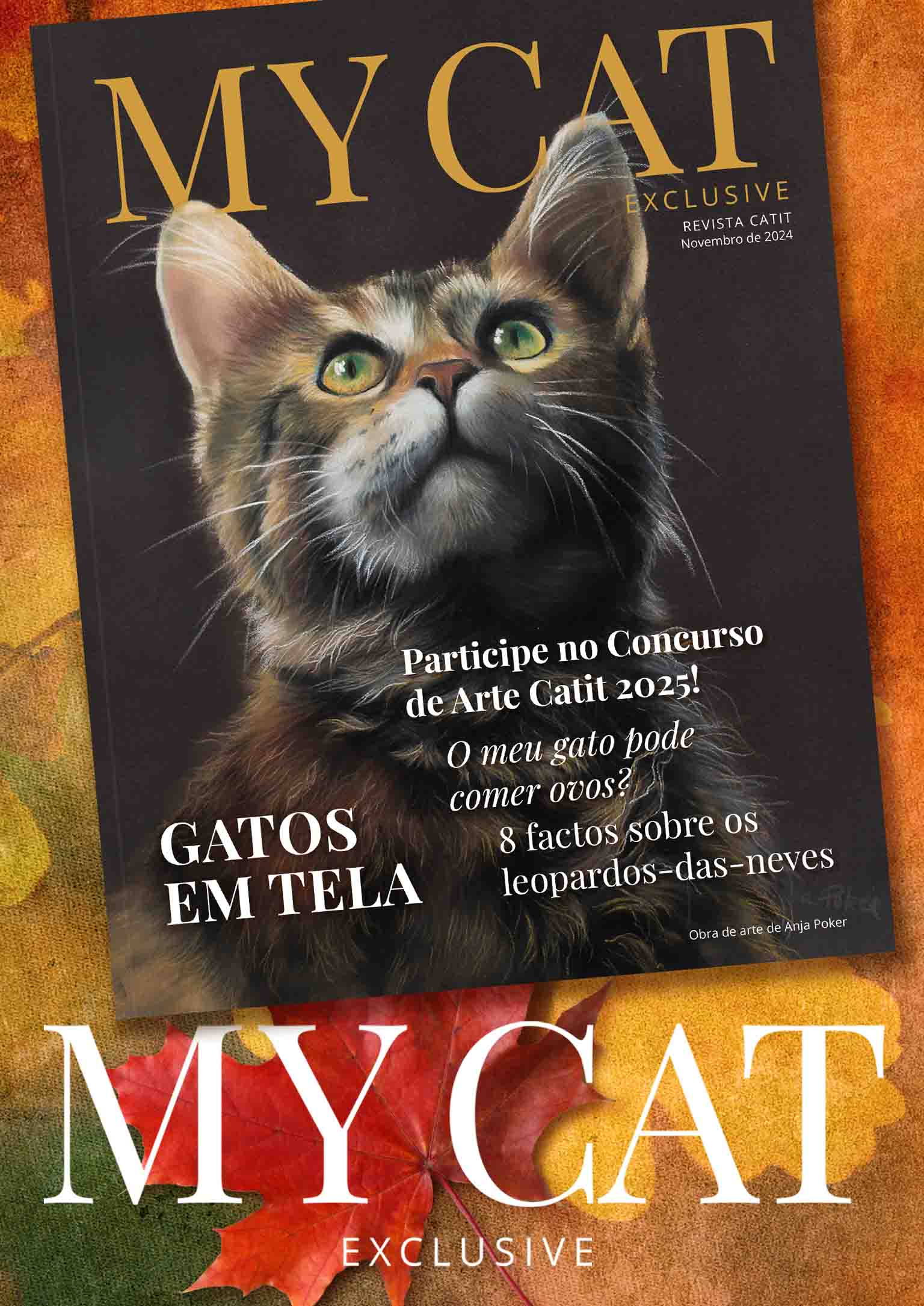 Catit e-magazine - Novembro 2024