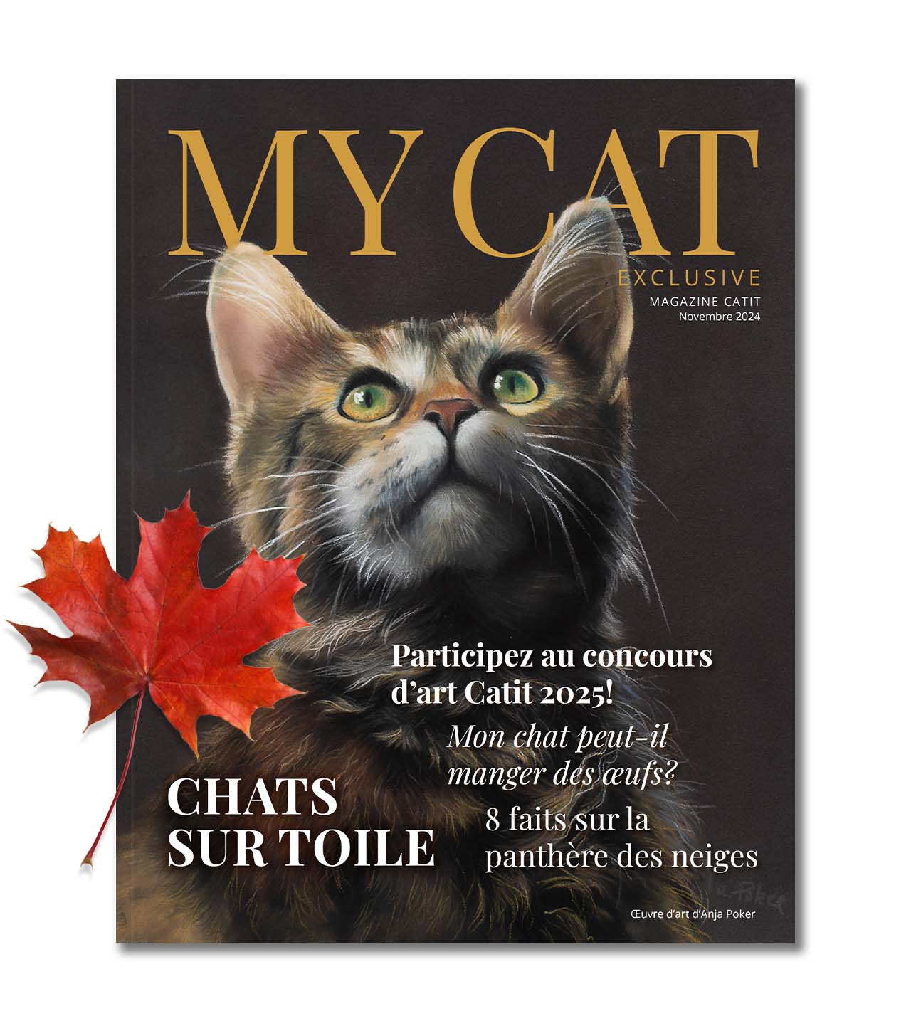 My Cat Exclusive - Novembre 2024