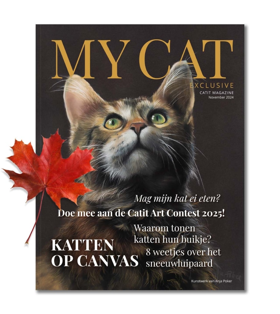 My Cat Exclusive - Oktober 2024