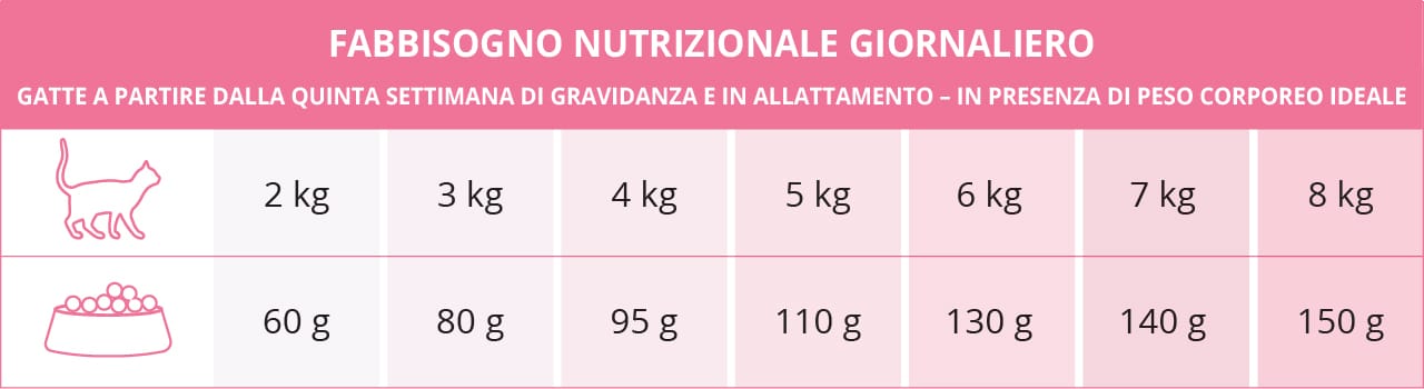 Fabbisogno nutrizionale giornaliero delle gatte a partire dalla quinta settimana di gravidanza e in allattamento – in presenza di peso corporeo ideale