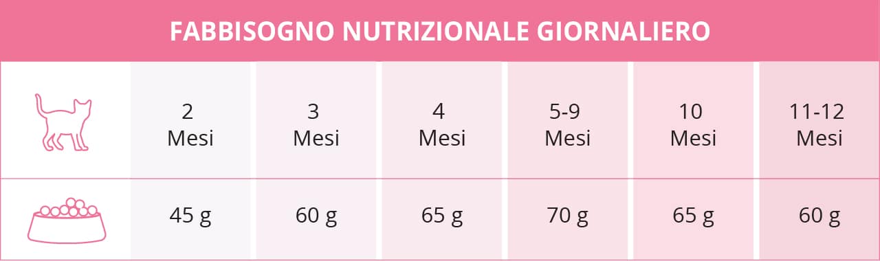 FABBISOGNO NUTRIZIONALE GIORNALIERO DEI GATTINI