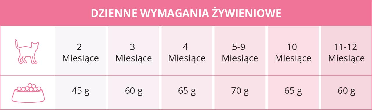 Dzienne wymagania żywieniowe dla kociąt