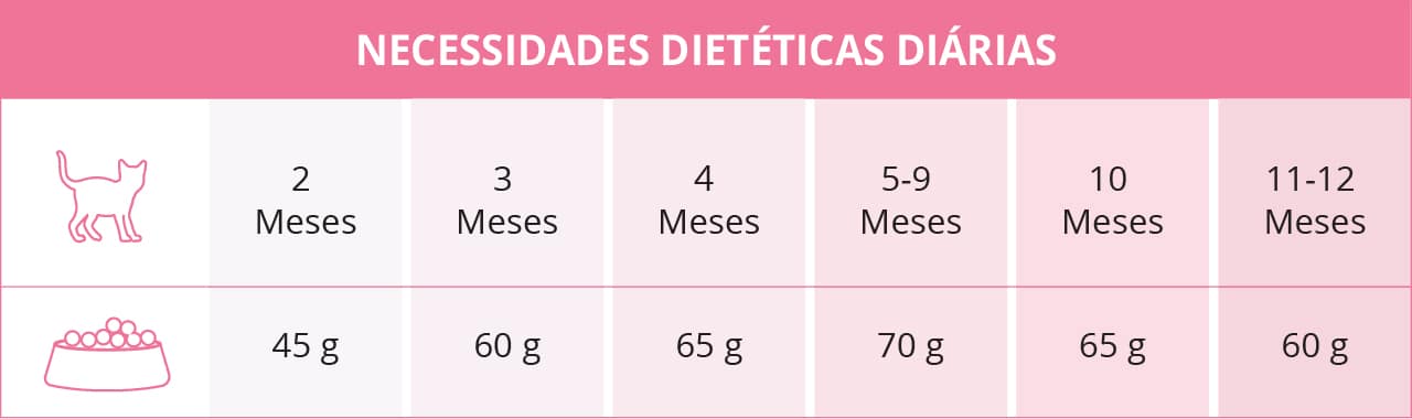 Necessidades dietéticas diárias dos gatinhos