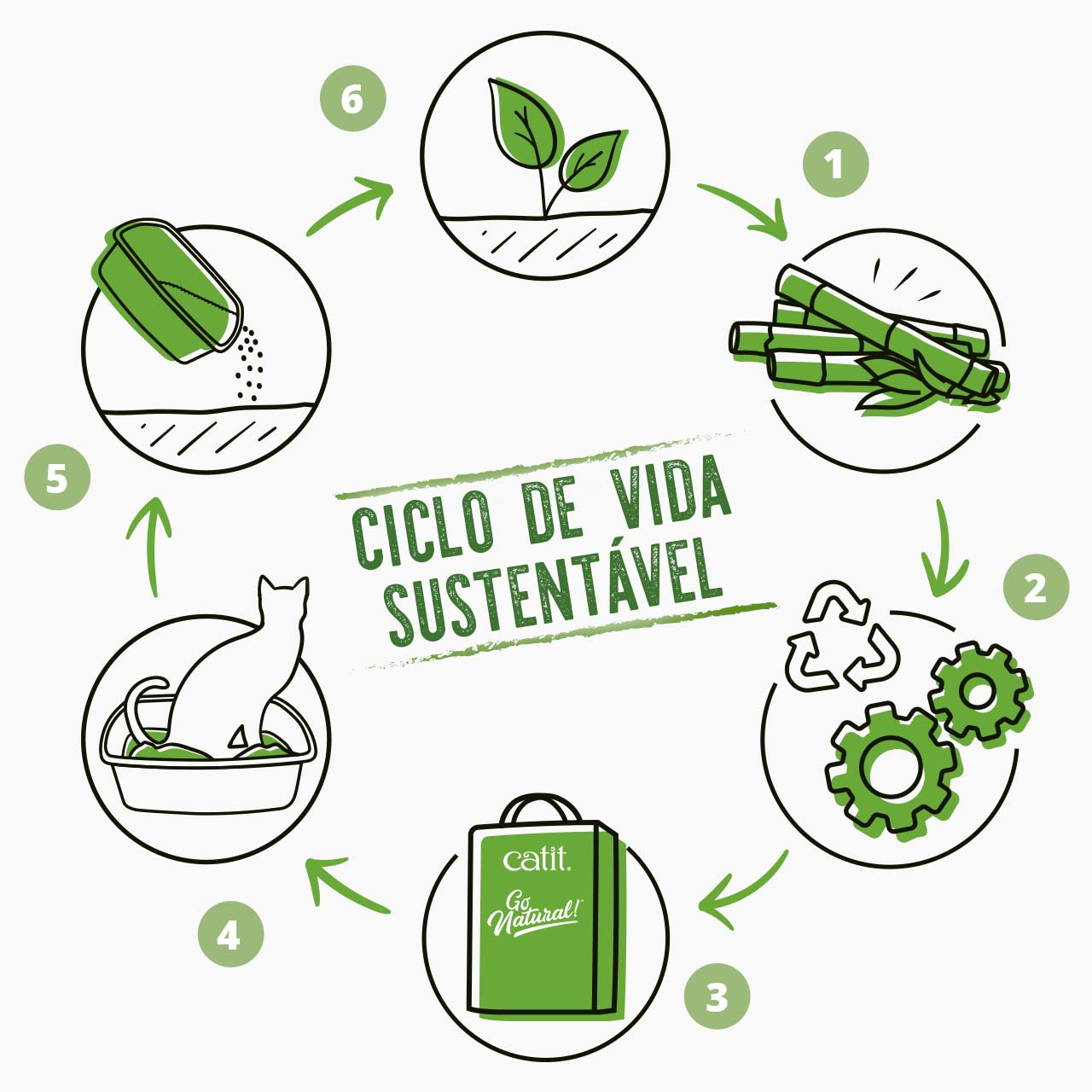 Ciclo de vida sustentável