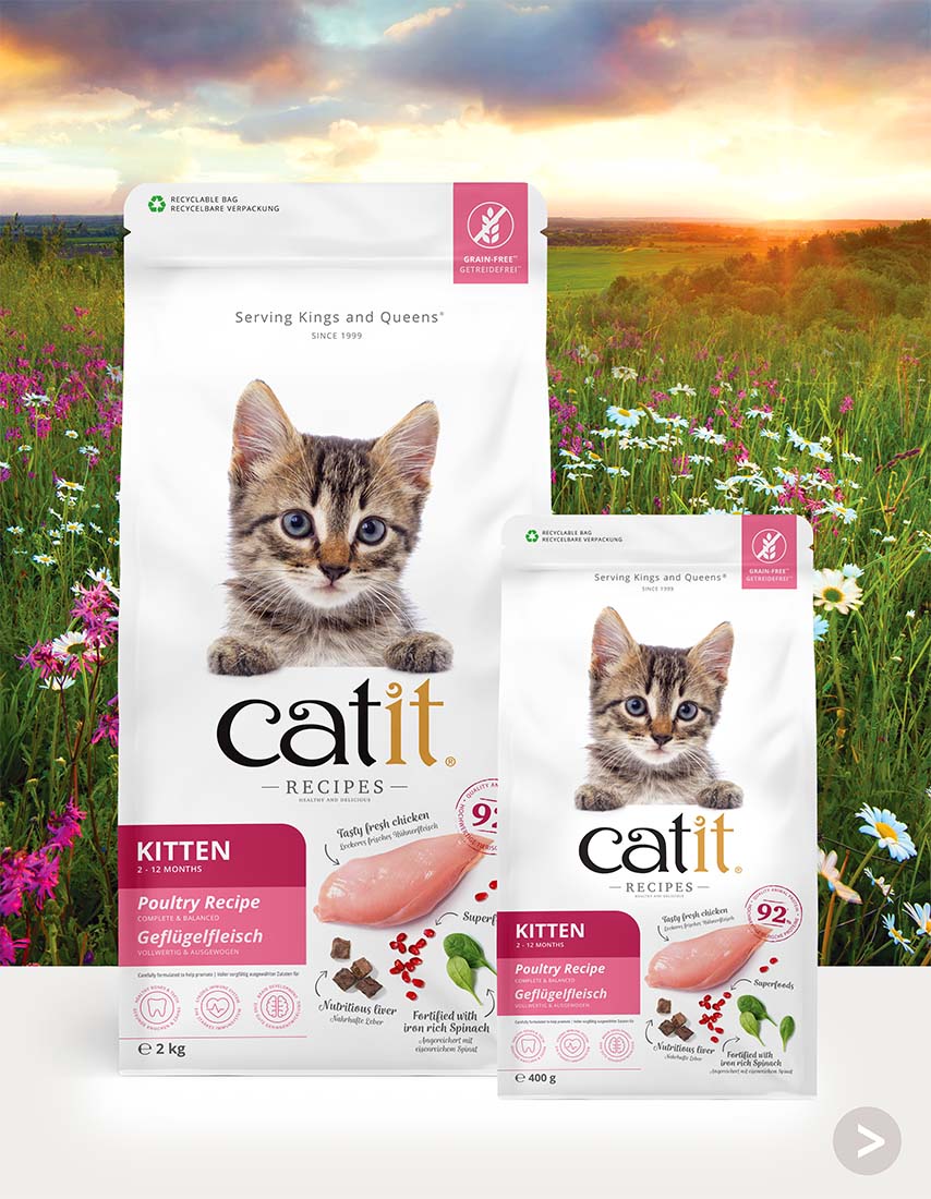 Catit Recipes KITTEN Receita de Aves