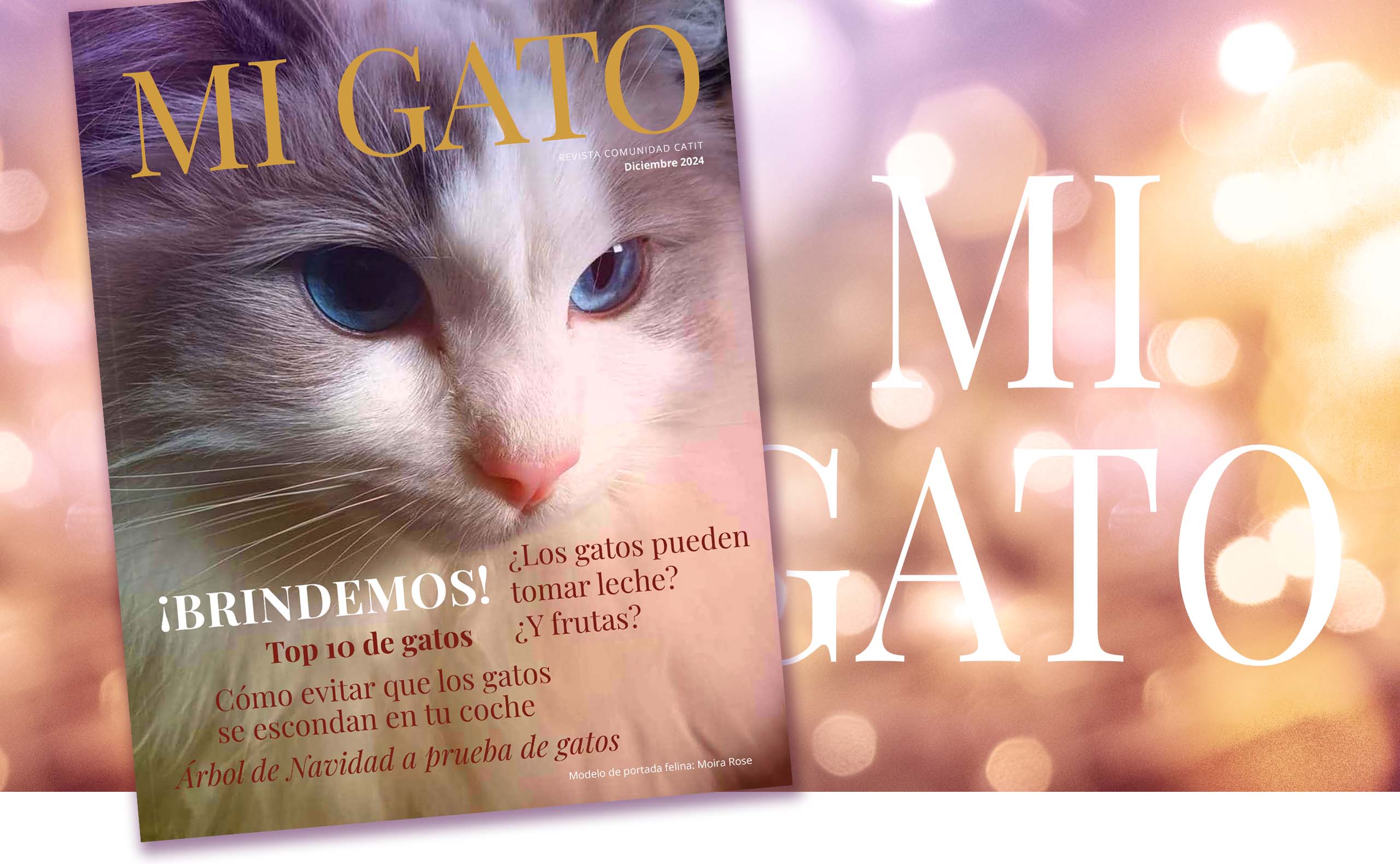 Revista Catit / Diciembre 2024