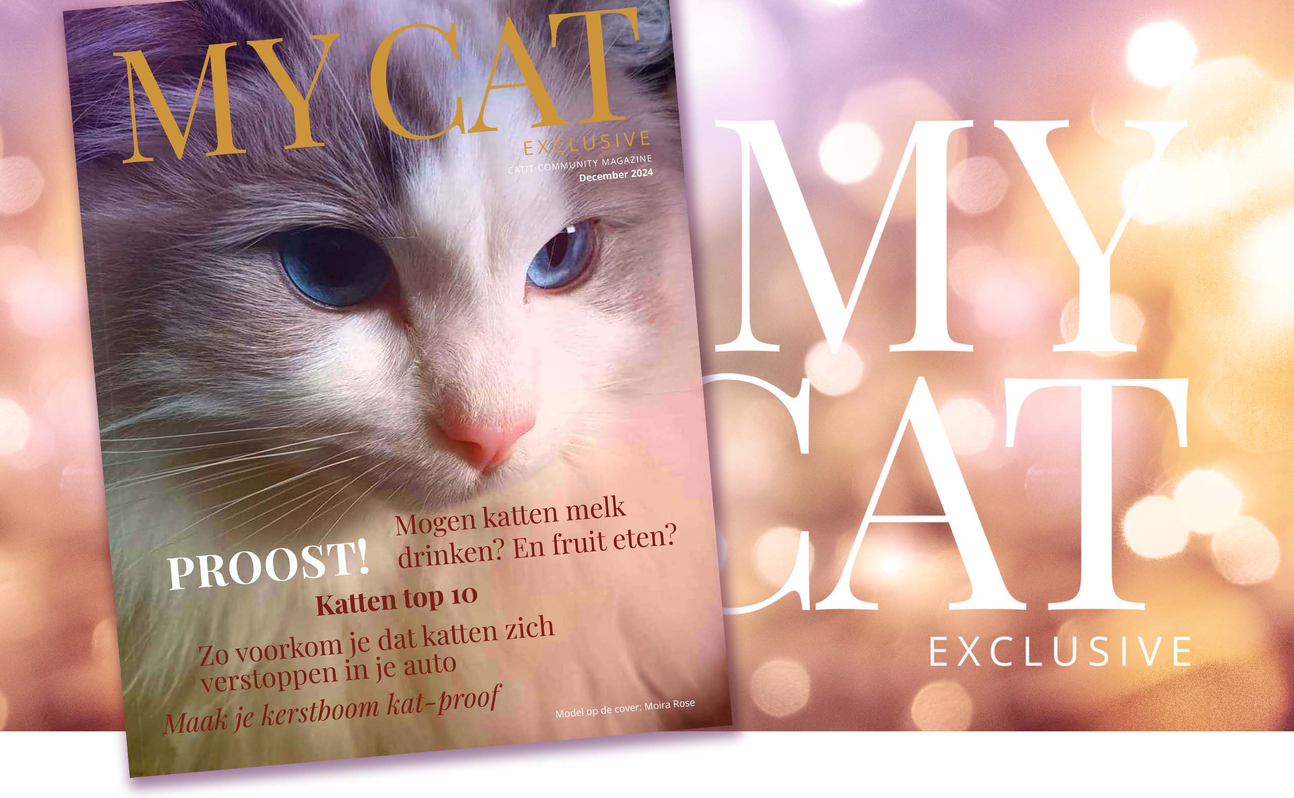 Catit e-magazine / December 2024