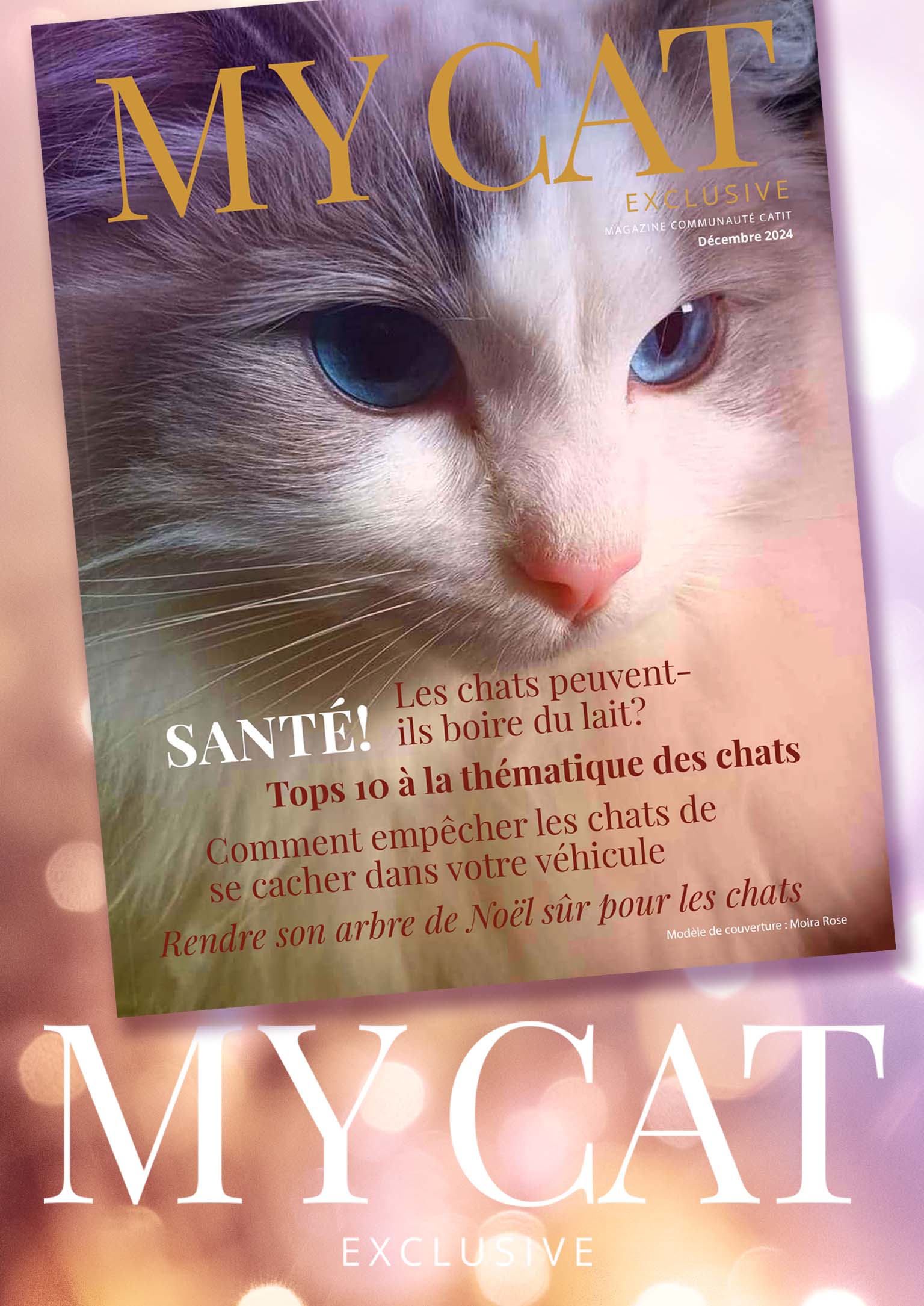 E-magazine Catit / Décembre 2024