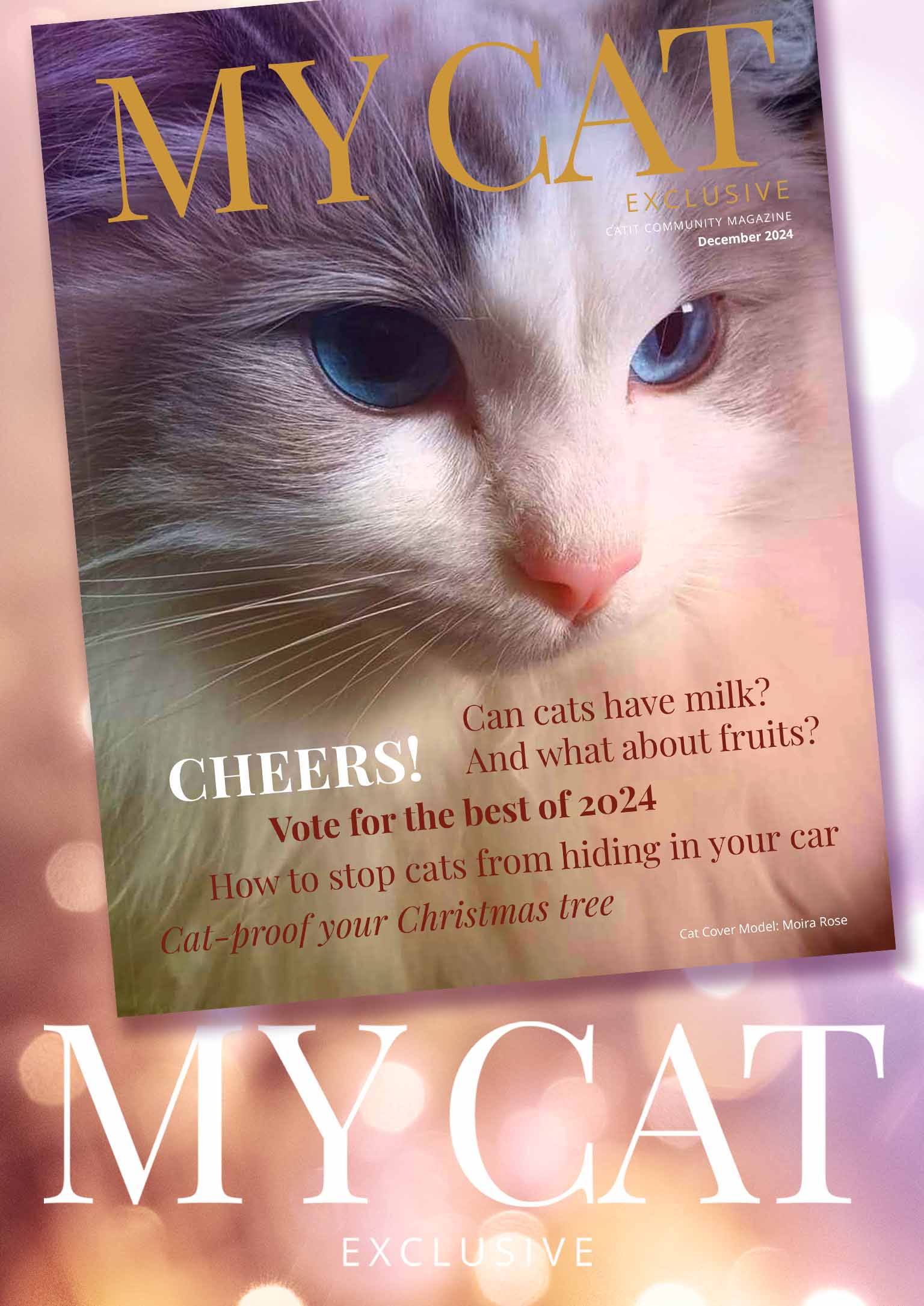 Catit e-magazine / December 2024