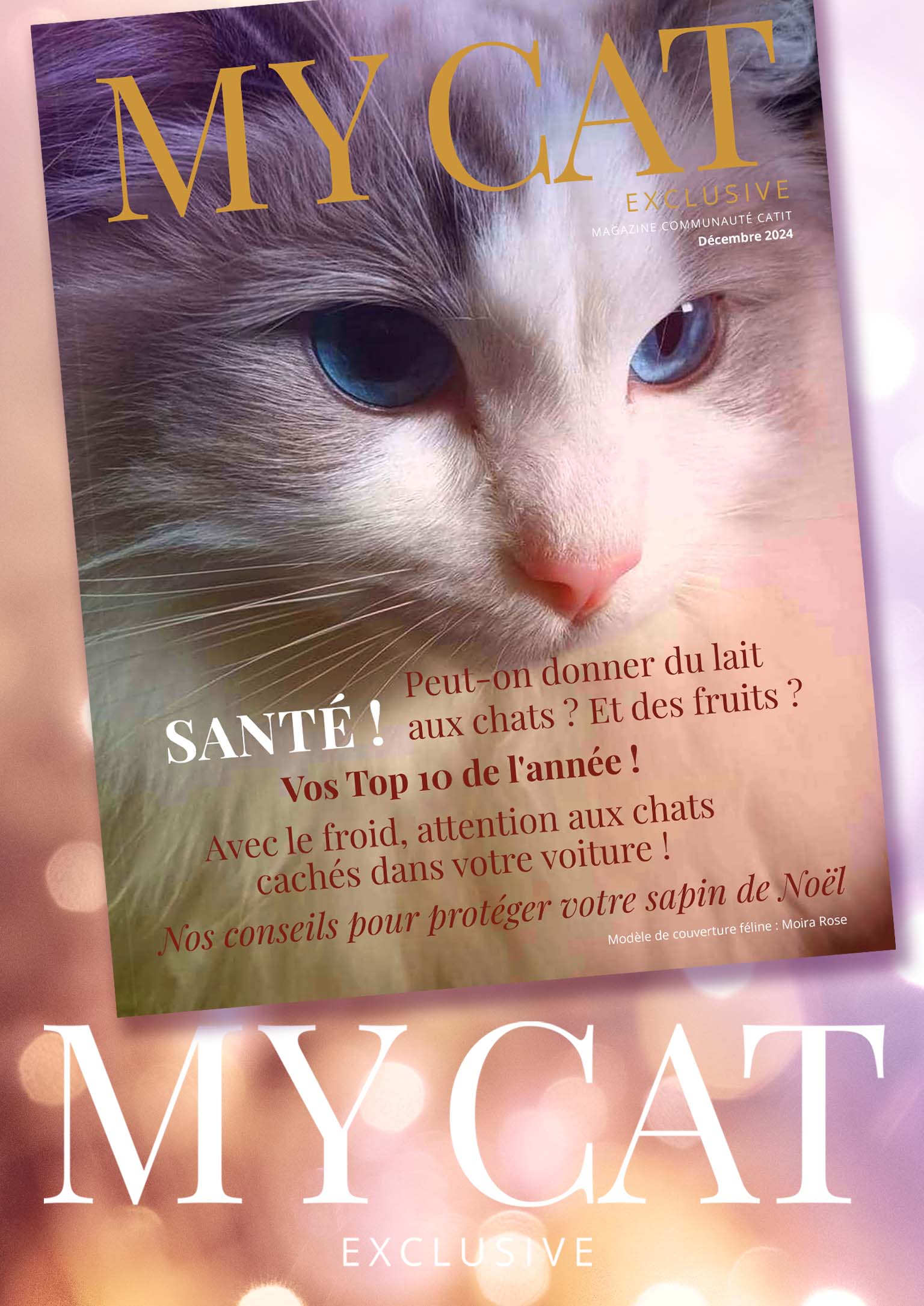 E-magazine Catit / Décembre 2024