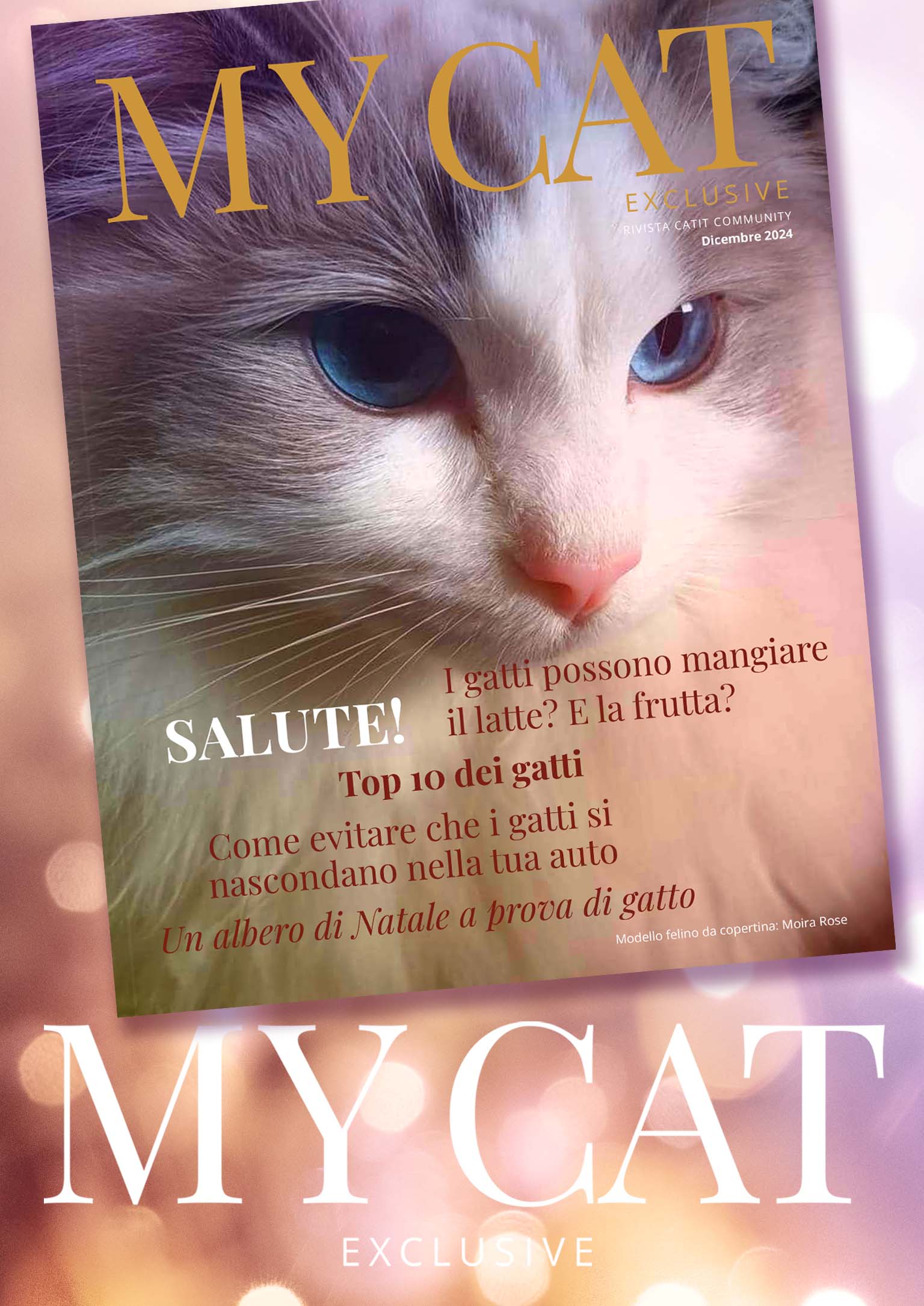 Rivista Catit / Dicembre 2024