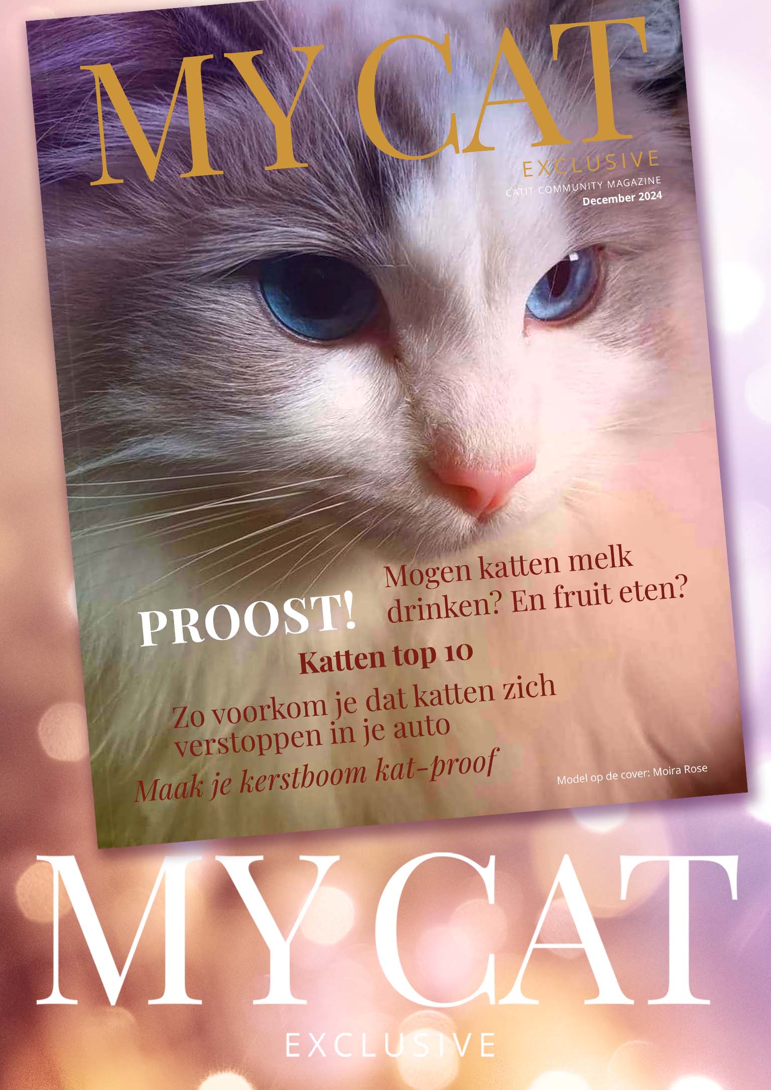 Catit e-magazine / December 2024