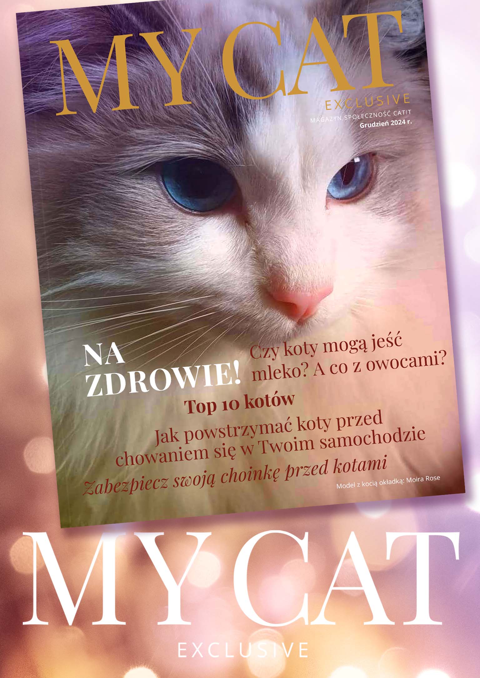 e-magazyn Catit / Grudzień 2024 r.