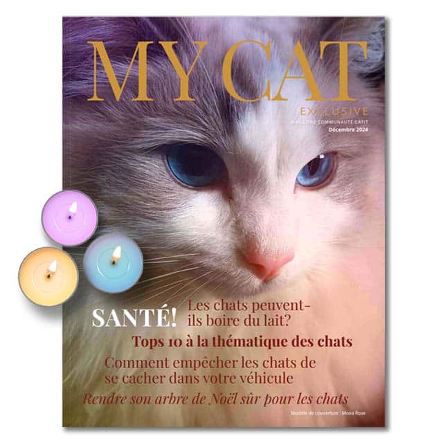 My Cat Exclusive Décembre 2024