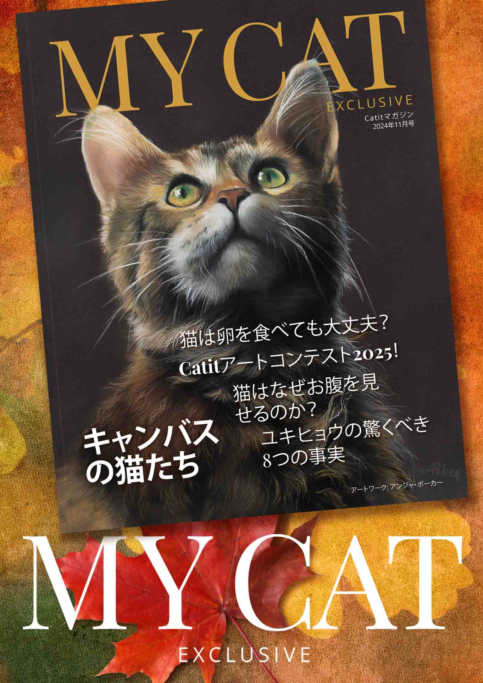 CATIT WEBマガジン - 2024年11月号