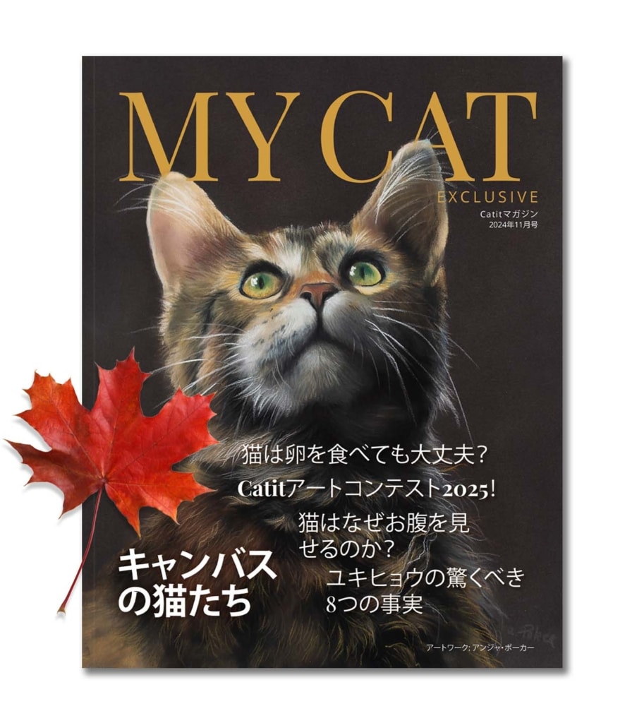 My Cat Exclusive 2024年11月号