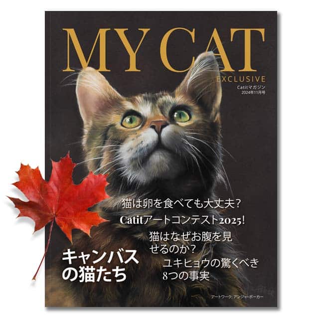 My Cat Exclusive 2024年11月号