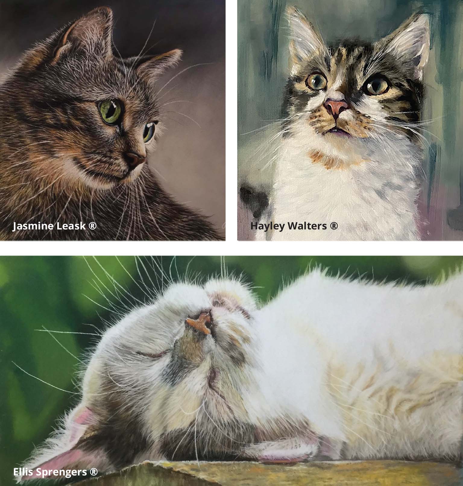 Catit Cat Art contest 2024 participants