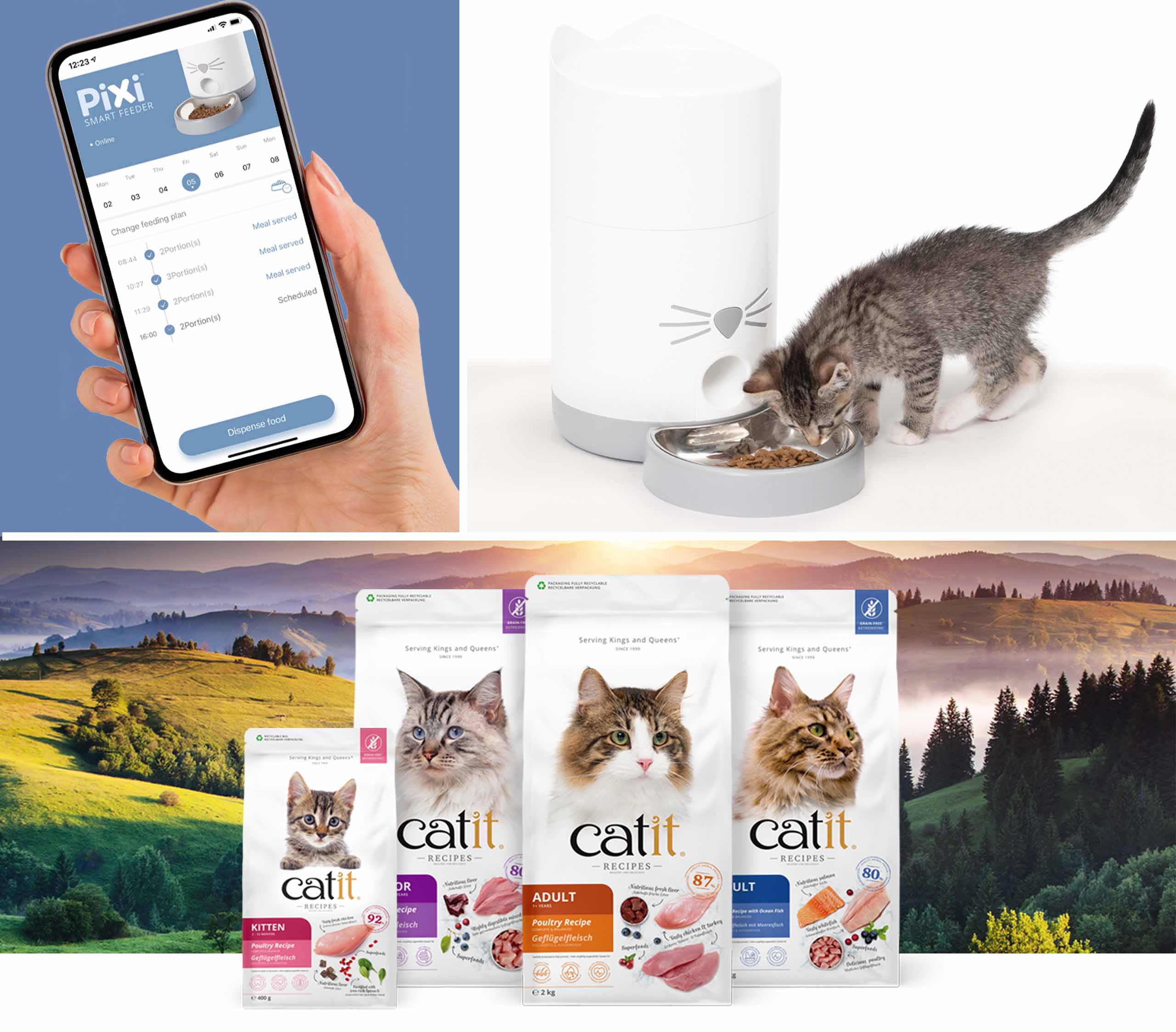 Catit PIXI Smart Feeder Giveaway