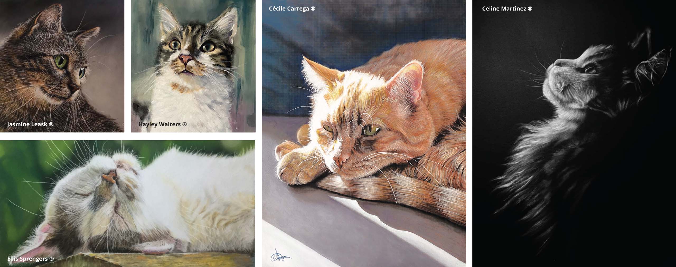 Catit Cat Art contest 2024 participants