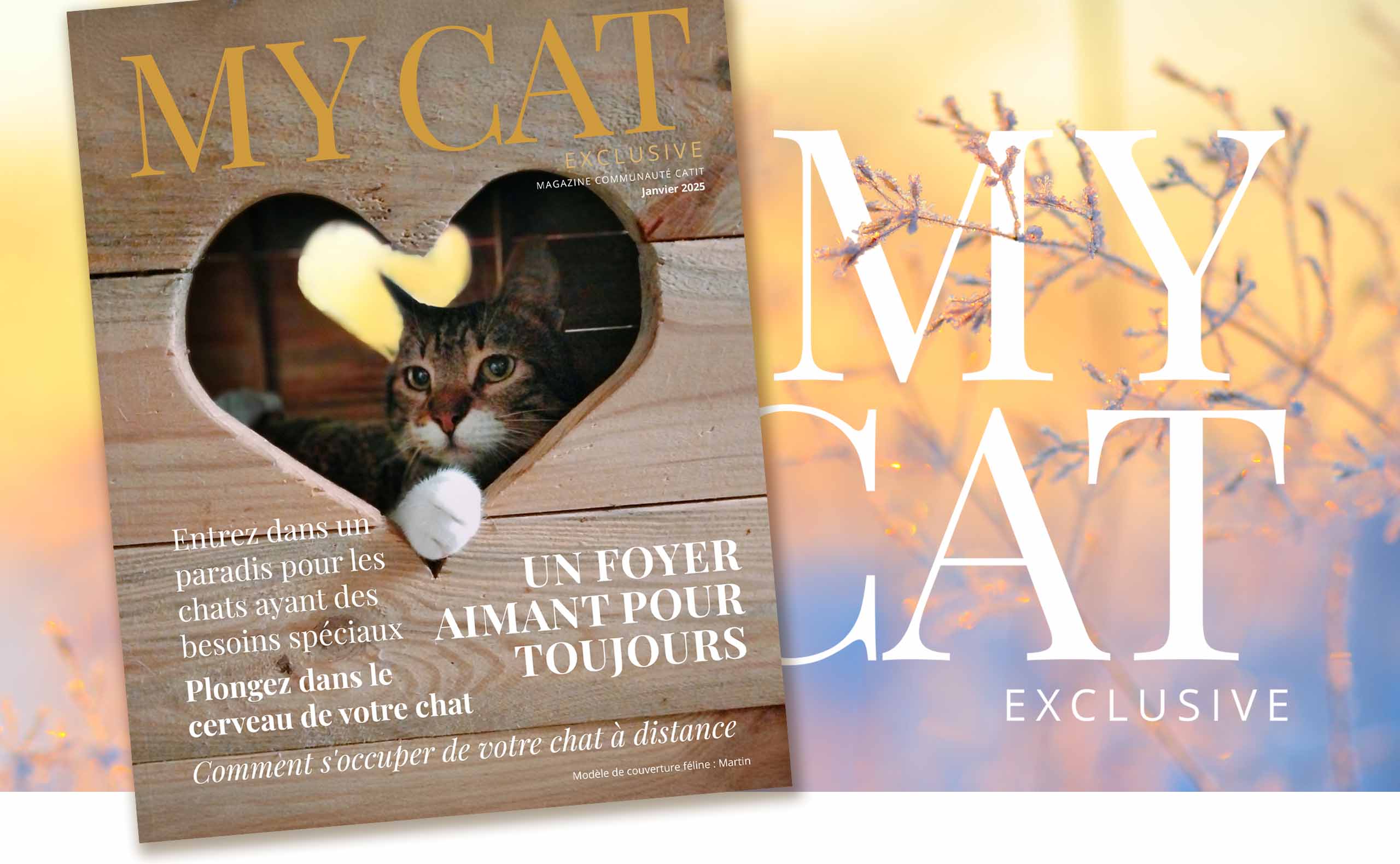 e-magazine Catit / Janvier 2025