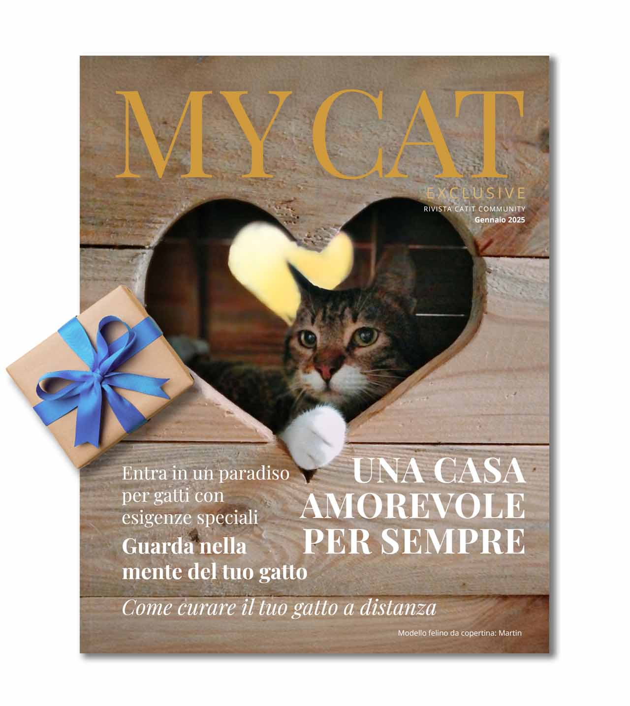 My Cat Exclusive - Gennaio 2025